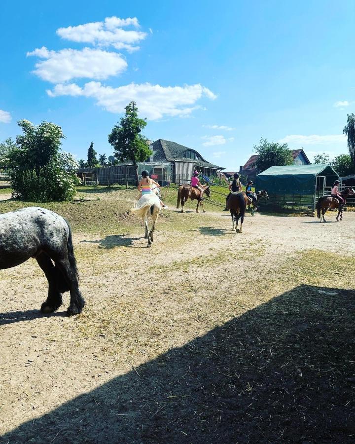 Fewo Im Reit- Und Ponyparadies Roos Halle  Exterior photo