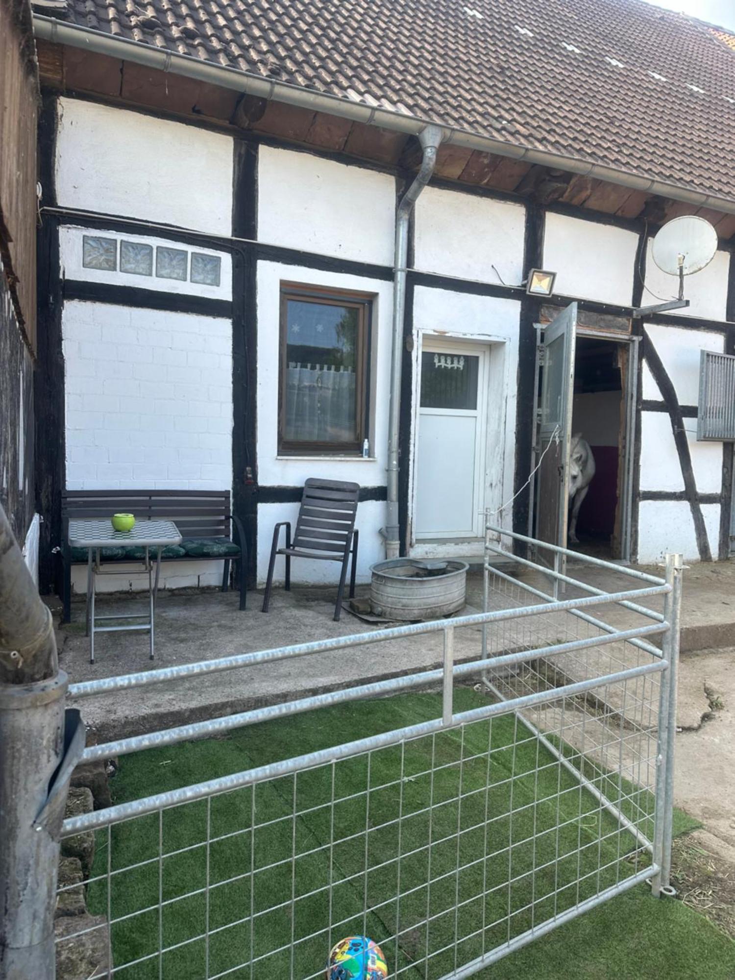 Fewo Im Reit- Und Ponyparadies Roos Halle  Exterior photo